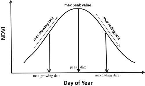 Figure 4. Signatures characterizing an NDVI profile.