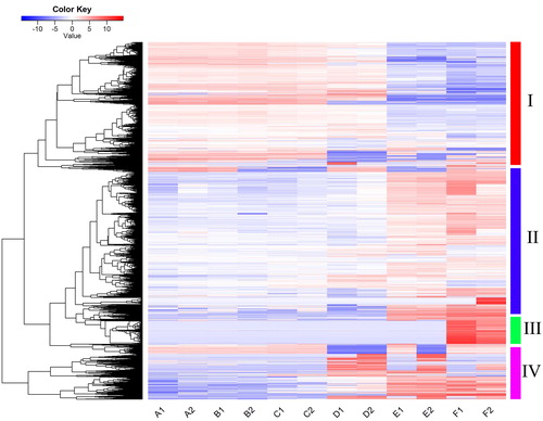 Figure 3. Heatmap showing expression profiles of differentially expressed genes during daylily flower development.Note: The heatmap was generated using R gplots package; the FPKM values of each gene were normalized and used as input. The color transition from dark blue to dark red represents the expression level of genes from the lowest to the highest.