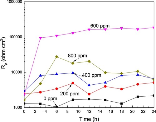 Figure 6. Effect of the CeO2 NPs concentration on the Rp value for LDX 2101 duplex stainless steel in a CO2-saturated 3.5% NaCl solution.
