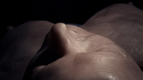 Figure 8. Christine Borland, SimWoman, 2010, Film Still, 12minute 30 second loop, H.D. Video, projected.