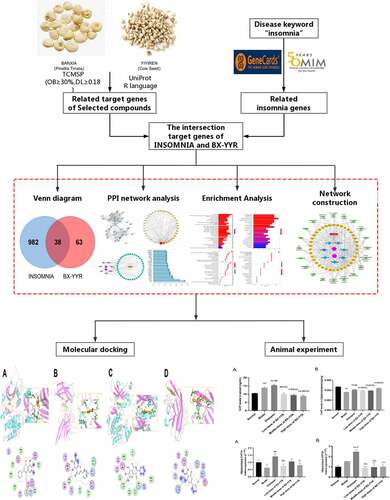 Figure 1. The overall flowchart of this study.