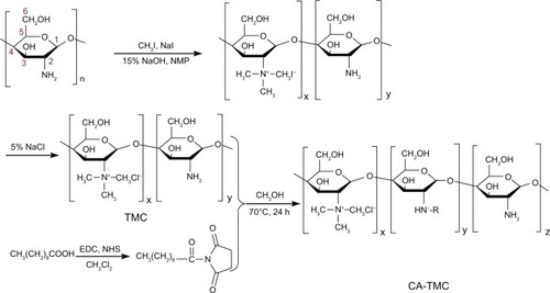 Figure 1 Synthesis route of TMC and CA-TMC.Abbreviations: CA-TMC2, N-caprinoyl-N-trimethyl chitosan; TMC, N-trimethyl chitosan.
