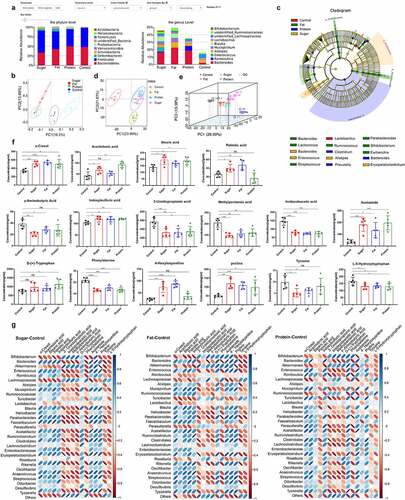 Figure 1. The intestinal microbiota and its metabolites shaped by different diets. The relative abundance of species at the phylum and genus levels (excluding others) of the four dietary groups (a). The intestinal microbiota of the four groups was analyzed by unweighted UniFrac distance principal coordinate analysis (PCoA) (b). In the LEfSe cladogram, the inner to outer radiating circles represent the taxonomic level from phylum to genus, and the diameter of small circles is proportional to the relative abundance. Species with no significant differences are uniformly colored yellow, and species with differences are colored with the biomarker group (c). Principal component analysis (PCA) of metabolomics data for the four dietary groups (d) and multivariate PCA of the top three principal components (e). Differential metabolites related to inflammation in each diet group (f). Thermogram analysis of the correlation between different bacteria and different metabolites; Blue indicates a positive correlation and red indicates a negative correlation (g).