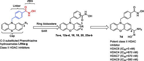 Scheme 1. Design of potent class II HDAC inhibitor 7d from investigating structure-activity relationship (SAR) of phenothiazine-based hydroxamates