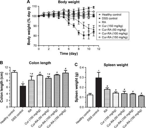 Figure 7 Therapeutic effects of oral administration of RA-Cur on UC in mice induced by DSS.Notes: (A) Body weight change profiles. Mouse body weight was measured throughout the experimental duration, and it was normalized as a percentage of the day 0 body weight. The colon and spleen were harvested on day 12. (B) Colon length and (C) spleen weight in different mice groups were measured. *P<0.05 vs healthy control group, ≤P<0.05 vs DSS control group. Each point represents the mean ± SD (n=8).Abbreviations: Cur, curcumin; DSS, dextran sodium sulfate; RA, rebaudioside A; RA-Cur, RA-based self-nanomicellizing solid dispersion containing Cur; UC, ulcerative colitis.