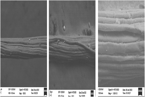 Figure 5. SEM images of Raw CGF.