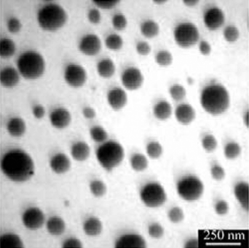 Figure 1. Transmission electron micrograph of the purified biogenic Se NPs synthesized by Bacillus sp. MSh-1.
