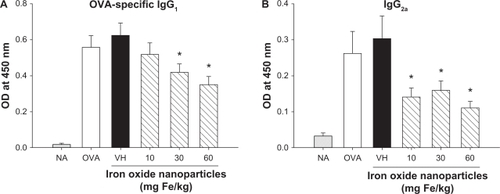 Figure 2 Attenuation by iron oxide nanoparticles of the serum production of OVA-specific IgG1 and IgG2a. Mice were treated with iron oxide nanoparticles and sensitized with OVA as depicted in Figure 1. The serum levels of OVA-specific IgG1 and IgG2a were measured by ELISA.Note: Data are expressed as the mean ± SE of 9–15 samples pooled from 3 independent experiments. *P < 0.05 compared to the VH group.Abbreviations: OVA, ovalbumin; ELISA, enzyme-linked immunosorbent assay; SE, standard error; VH, vehicle treated group; OD, optical density.