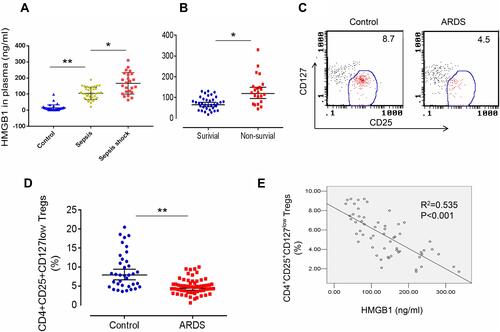 Figure 1 Elevated HMGB1 levels and reduced Treg proportions in patients with sepsis-induced ALI. (A) Circulating HMGB1 levels in plasma were measured in patients with sepsis (n=34), septic shock (n=24), and healthy controls (n=36) using an ELISA. **p<0.01. (B) Plasma HMGB1 levels in surviving (n=36) and nonsurviving (n=22) patients with ARDS. *p<0.05 and **p<0.01. (C) Representative two-dimensional scatter diagrams of CD4+CD25+CD127low Tregs in the peripheral blood of patients with ARDS and healthy controls were analyzed using flow cytometry. (D) The percentage of CD4+CD25+CD127low Tregs in the peripheral blood of patients with ARDS (n=58) and healthy controls (n=36); means±SD, **p<0.01. (E) Correlation between the percentage of CD4+CD25+CD127low Tregs and HMGB1 levels in patients with ARDS; R2=0.535, p<0.001. The analyses in this figure were performed using permutation t-tests (A, B, and D) and Pearson’s correlation analyses (E).