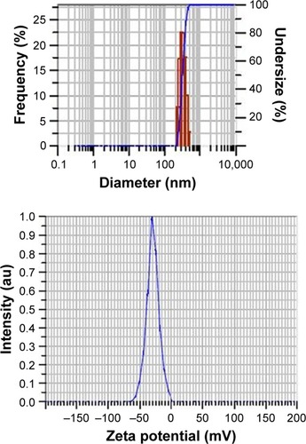 Figure 4 Particle size distribution and zeta potential graph of PLGA-IH2 nanoparticles.Abbreviations: IH2, isoniazid benz-hydrazone; PLGA; poly lactic-co-glycolic acid.