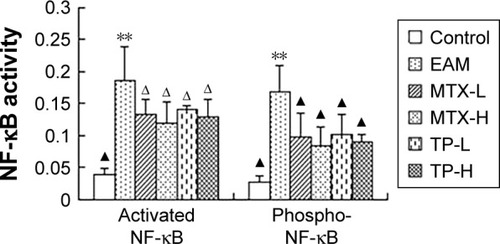 Figure 9 Activities of activated NF-κB and phospho-NF-κB in the myocardium in rats of each group.Notes: **P<0.01, compared to control; ΔP<0.05 and ▲P<0.01, compared to EAM.Abbreviations: EAM, autoimmune myocarditis; H, high dose; L, low dose; MTX, methotrexate; NF, nuclear factor; TP, triptolide.