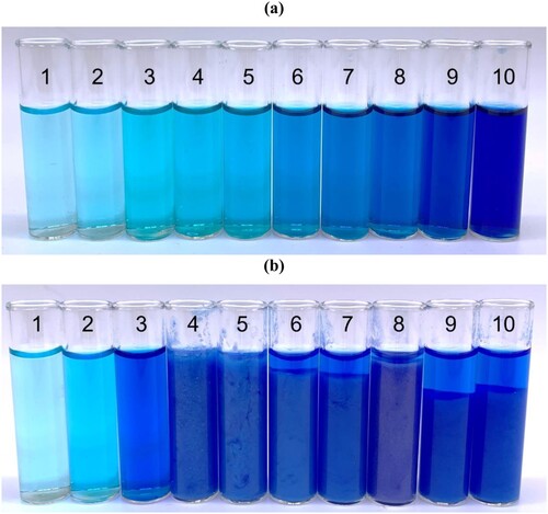 Figure 10. Photographs of copper sulphate and boric acid electrolyte containing (a) 0.5 M gluconate, and (b) 0.5 M glycine, corrected to each pH between 1 and 10 using 3M NaOH.