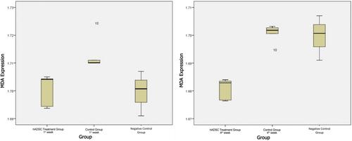 Figure 3 MDA expression level, 1st week and 4th week of observation.