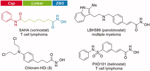 Figure 2. Structure of HDAC inhibitors.