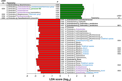 Figure 5. Linear discriminant analysis (LDA) effect size (LEfSe) graphics for responders (R) NC-IBS patients in the probiotic arm. LDA scores indicate taxa significantly (P < 0.05) higher before (V2; negative LDA) or after (V4; positive LDA) probiotic intake. Taxon levels are abbreviated: p, phylum; c, class; o, order; f, family; g, genus; and s, species. Corrections/updates to GreenGenes database nomenclature are marked in violet, while taxonomic names determined through a manual BLASTN search in GenBank using corresponding read sequences are highlighted in blue. Taxon cAVS 254 is identified as the administered probiotic strain (L. paracasei DG; highlighted in green).