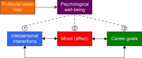 Figure 1 Illustrative model depicting the components of and factors influencing psychological well-being.