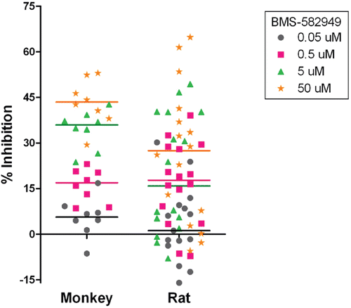 Figure 5.  Effects of BMS-582949 on phagocytosis function in monkey and rat neutrophils in vitro (x-axis). Data are presented as percent inhibition of phagocytosis in vehicle control samples independently calculated for each animal (y-axis). For monkeys, n = 8 (four/sex) and for rat, n = 16 (eight/sex), except n = 15 (eight male and seven female) for rat at 0.05 µM treatment. Triplicate (except no replicates for two of eight monkeys and one of 15 rats at 0.05 µM) MFI values were averaged for each parameter per assay prior to percent inhibition calculation. Each individual monkey data point is a median of three independent assays. Each individual rat data point represents a single assessment per rat. Color-coded bars represent the median of the individual data per BMS-582949 treatment concentration.