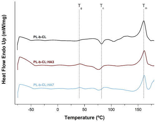 Figure 5. DSC curves of PL-b-CL, PL-b-CL:HA3 and PL-b-CL:HA7 electrospun samples, with the identified characteristic temperatures. Tg – Glass transition temperature; Tc –crystallization temperature; Tm – melting temperature.