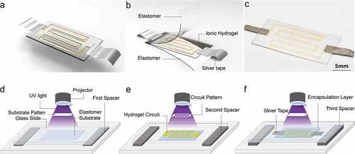 Figure 1. Design and manual fabrication procedures of stretchable strain sensor. (a) Illustration of the sensor. (b) Details of the sandwiched structure of the strain. (c) Snapshot of the fabricated sensor. (d)–(f) Manual fabrication of the stretchable strain sensor