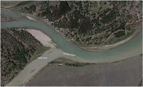 Figure 3. Where the Belly River and the Old Man River become friends (Google Earth aerial photograph. Open source.).