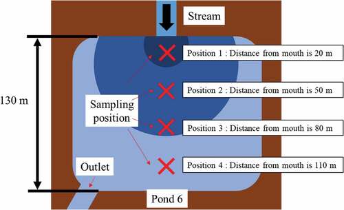 Figure 5. Schematic diagram showing the separation of the contaminated soils based on the particulate mean size of inflow soil at pond 6