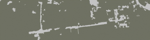 Figure 13. The road extraction result with intensity average in Ya’an UAV image. Source: Li, Tang et al. (Citation2015).