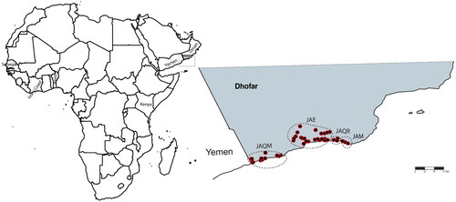 Figure 2. Map showing sampled localities across Dhofar region southern of Oman. (JAQM) Jabal qamar, (JAE) Jabal eitin, (JAQR) Jabal qara, and (JAM) Jabal murbat.