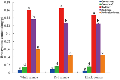 Figure 8. Analysis of betacyanin contents in stems and leaves of different phenotypes of C. quinoa.
