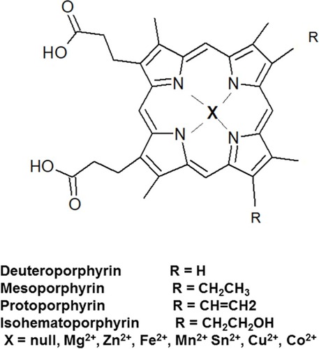 Figure 1 Porphyrin structure nomenclature.