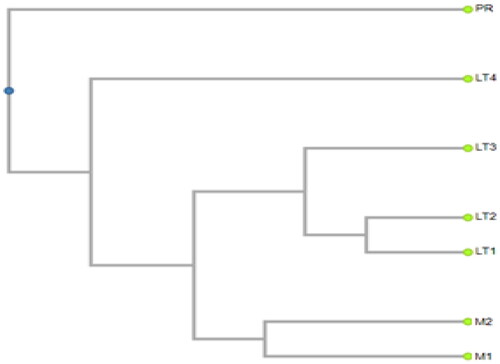 Figure 4. The hierarchical cluster of soil microorganisms in each stand is based on the frequencies of the top 40 species in seven stands.