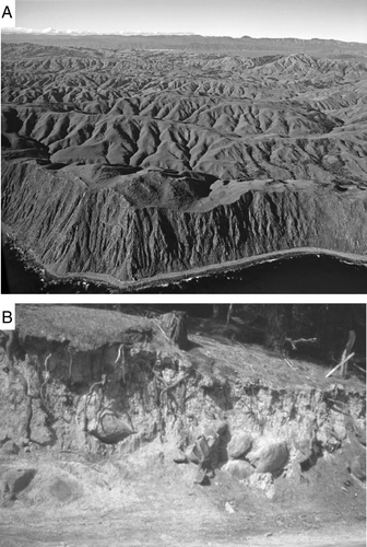 Figure 9  A, Oblique aerial photo looking north-east across the central part of the Wellington Peninsula (Port Nicholson in background) showing flattened hill tops of N–S trending ridges that represent remnants of the peneplain surface (photo: DL Homer, GNS Science). B, Photo showing solifluxion material exposed at Belmont. Such deposits contained the ‘travelled boulders’ described by Crawford in 1869a (photo: R Grapes).