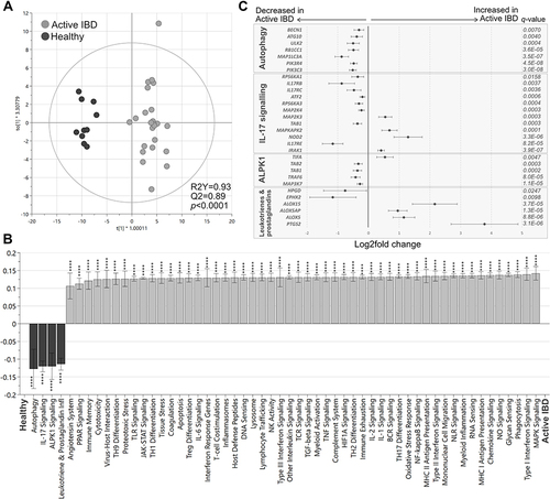 Figure 2 Pathway analysis in active IBD and healthy subjects. Total RNA from mucosal biopsies was collected from inflamed sites from patients with IBD and healthy subjects. Expression of 776 genes was measured using the NanoString nCounter Host response panel and pathway scores for 56 pathways were generated. (A) Orthogonal partial least squares discriminant analysis (OPLS-DA) score scatter plot based on pathway scores for active IBD and healthy. (B) OPLS-DA loading column plot depicting up- and downregulated pathways in IBD vs healthy subjects based on their pathway scores. Mann–Whitney U-test and false discovery rate analysis (classical 1-stage method) were used to compare the data; ****p<0.0001. (C) Differentially expressed genes participating in the pathways autophagy, IL17 signaling, ALPK1 and leukotriene and prostaglandin inflammation are shown in a forest plot based on log2 fold change. Error bars represent 95% confidence intervals. Student’s t-test was used to calculate significance between the groups (p-values) and false discovery rate analysis was performed using the Benjamini–Yekutieli method (q-values), cut-off was set to q<0.01. n=27; healthy, n=10.