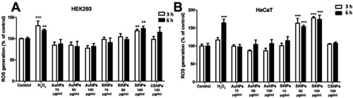 Figure 7 Total ROS levels in the engineered nanoparticle-treated cells.Notes: (A) Human embryonic kidney (HEK293) and (B) human keratinocyte (HaCaT) cells were treated with gold nanoparticles (AuNPs), silicon nanoparticles (SiNPs), and chitosan nanoparticles (CSNPs) for 72 hrs, and the percentage ROS generation relative to the untreated control group was determined after 3 and 6 hrs. Cells in the control groups were left untreated (Control) or treated with H2O2 as a positive control. Values are mean ± SD. **P<0.01; *** P<0.001 versus the control group.