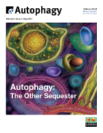 Cover image for Autophagy, Volume 9, Issue 5, 2013