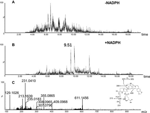 Figure 7 Identification of metabolites M5: BRB was incubated with mouse liver microsomes fortified with NADPH and GSH at 37 °C for 1h, followed by LC-MS/MS analysis. Extracted ion chromatogram of M5 obtained from LC-Q-TOF/MS analysis of MLM incubations containing berberrubine and GSH in the absence (A) or presence (B) of NADPH; MS/MS spectrum of M5 (C).