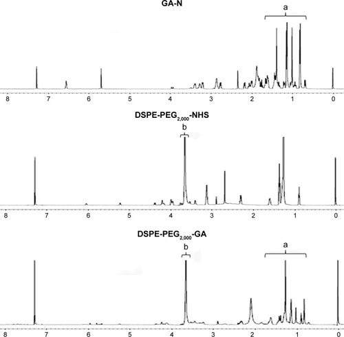 Figure 3 1H NMR spectra of DSPE-PEG2,000-NHS, GA-N, and DSPE-PEG2,000-GA.Note: Peaks of GA-N at 0.7–1.5 ppm (a) and peaks of DSPE-PEG2,000-NHS at 3.6 ppm (b).Abbreviations: NMR, nuclear magnetic resonance; DSPE, 1,2-distearoyl-sn-glycero-3-phosphoethanolamine; PEG, polyethylene glycol; NHS, N-hydroxysuccinimide; GA-N, diamine-modified glycyrrhetinic acid.
