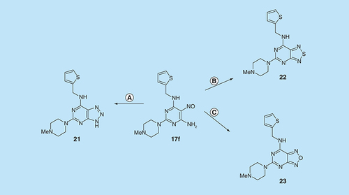 Figure 6.  Synthesis of pteridine analogs 21, 22 and 23.Reagents and conditions: (A) H2, 10% Pd on C, ethanol; then NaNO2, glacial acetic acid, 90°C, 2 h; (B) sodium thiosulfate pentahydrate, aq. 20% acetic acid 90°C, 1.5 h; (C) lead tetraacetate, acetic acid, 20°C, 4 h.