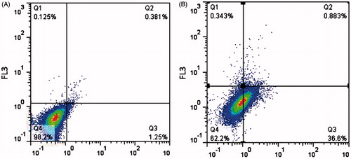 Figure 9. Apoptosis level measurement by flow cytometry. Apoptotic cells detected by flow cytometry with annexin VFITC/propidium iodide (PI). (A) Control cells, (B) treated cells with conjugated sample.