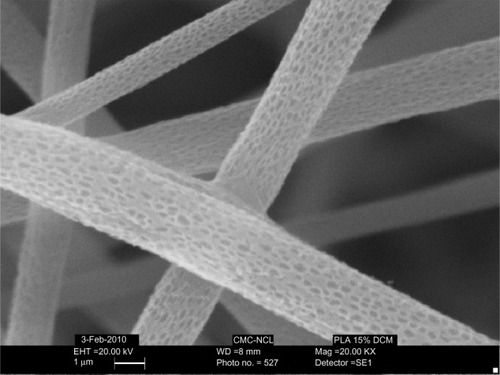 Figure 7 SEM images of PLA nanofibers with nano pores.Abbreviations: PLA, polylactide; SEM, scanning electron microscopy.