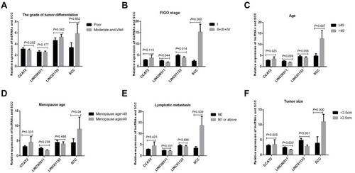 Figure 3 Correlation between relative expression of lncRNAs and SCC and the clinical features of CESC. (A) The grade of tissue differentiation, (B) FIGO stage, (C) Age, (D) Menopause age,(E) Lymph node metastasis, (F) Tumor size.