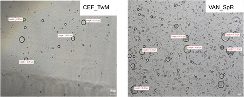 Figure 5. Microscopic images of the emulsions obtained after dilution CEF_TwM (CEF in SEO consisted of tween and Miglyol) and VAN_SpR (VAN in SEO composed of span and castor oil) suspensions with water (1:10 w/w).