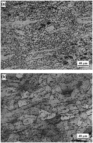 Figure 4. Microstructure of Mg–5Sn–2Ca deformed at (a) 350 °C/.0003 s−1 (Domain 1) and (b) 550 °C/10 s−1 (Domain 2). The compression axis is vertical.