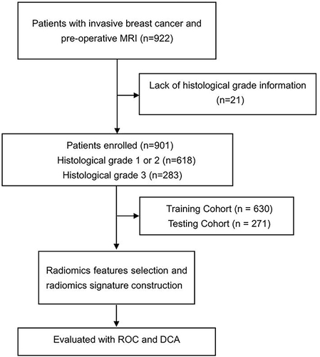 Figure 1 The flow diagram of the study.