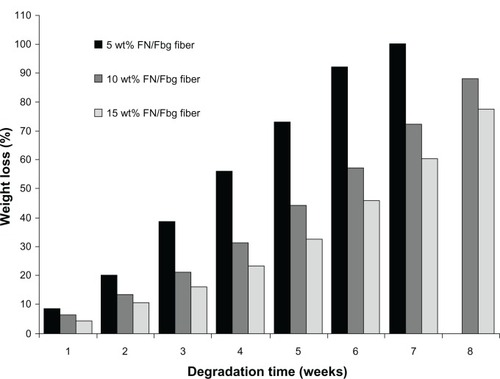 Figure 7 Fibrinolytic degradation of fibrinogen (Fbg) microfibers made with three different diameter sizes shows the rate of degradation at different time intervals (n = 3).Abbreviation: FN, fibronectin.