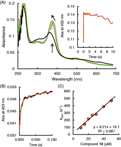 Figure 4. Reaction of EPO Compound I with 2-[(phenyl) amino]-acetohydrazide (compound 10) (A) Spectral changes upon addition of 10 µM compound 10 to 2 µM Compound I in the sequential-mixing stopped-flow mode. The first spectrum was recorded at 1.3 ms, subsequent spectra at 6.4, 14, 32, 70, 1010, 4666 and 9320 ms. Reaction conditions: 100 mM phosphate buffer, pH 7.0. (B) Typical time trace and double exponential fit of the reaction of Compound I with 10 µM compound 10 followed at 423 nm. Final conditions were 0.5 µM EPO and 0.5 µM H2O2, 100 mM phosphate buffer, pH 7. (C) Dependency of pseudo-first-order rate constants (kobs(1)) of Compound I reduction by compound 10.