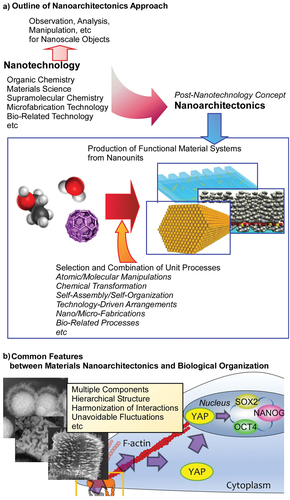 Figure 1. Nanoarchitectonics strategy and its similarity to biological system: (A) outline of nanoarchitectonics approach; (B) common features between materials nanoarchitectonics and biological organization.