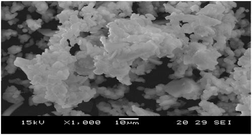 Figure 6. SEM images for pure SBA-15.