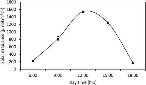 Figure 5. Diurnal variation in irradiance over a 12-hour period. The data presented are the means of three replicates, and the vertical bars denote the standard deviation.