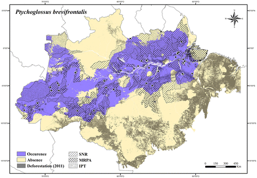 Figure 61. Occurrence area and records of Ptychoglossus brevifrontalis in the Brazilian Amazonia, showing the overlap with protected and deforested areas.