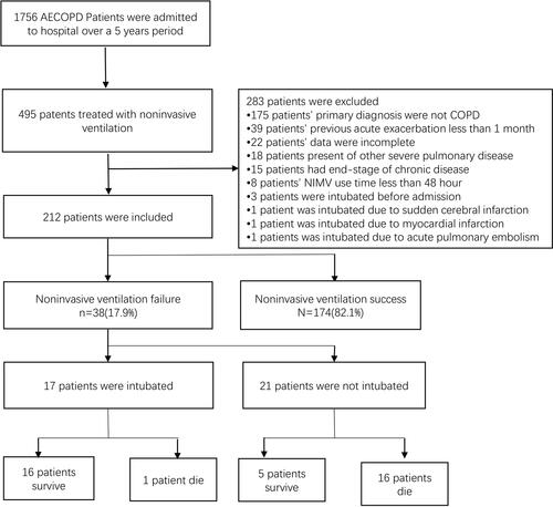 Figure 1 Noninvasive mechanical ventilation outcome ﬂow chart.